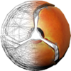 Morphball wirerender.png